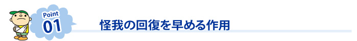 ポイント01 怪我の回復を早める作用