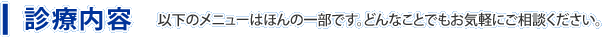 診療内容。以下のメニューはほんの一部です。どんなことでもお気軽にご相談ください。